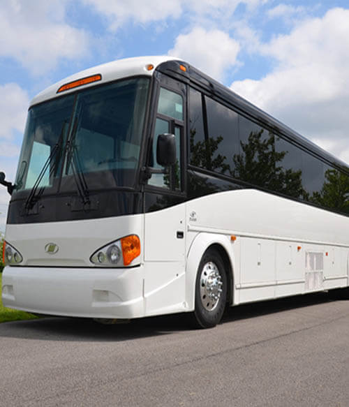 Full-size charter buses